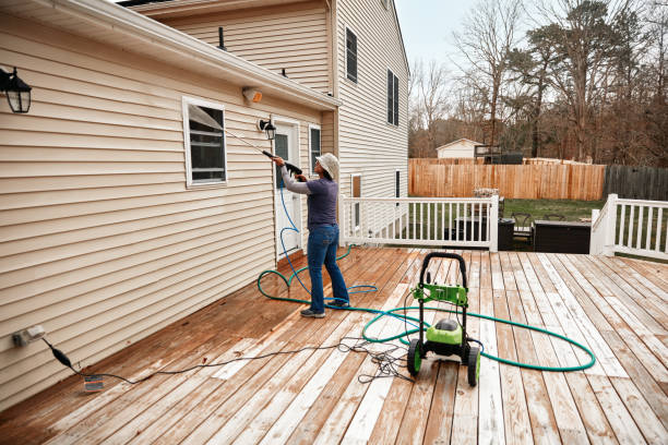 Best Affordable Power Washing  in Mascotte, FL