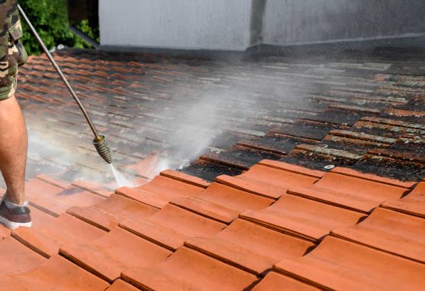 Best Local Pressure Washing Services  in Mascotte, FL