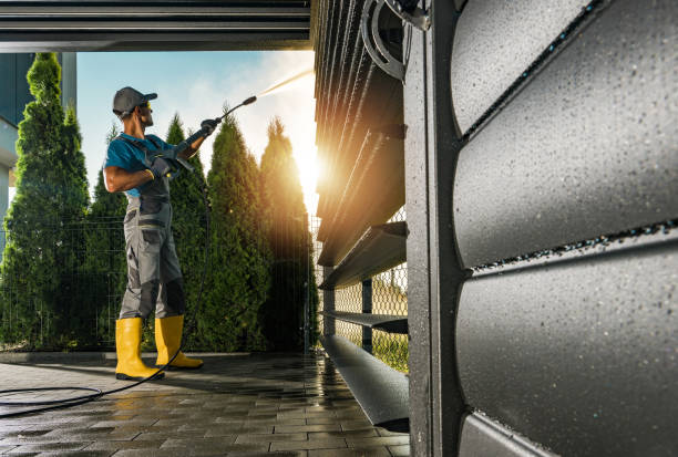 Best Pressure Washing Driveway  in Mascotte, FL