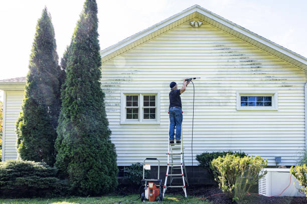 Best Commercial Building Pressure Washing  in Mascotte, FL