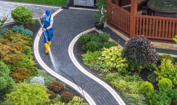 Best Affordable Pressure Washing  in Mascotte, FL