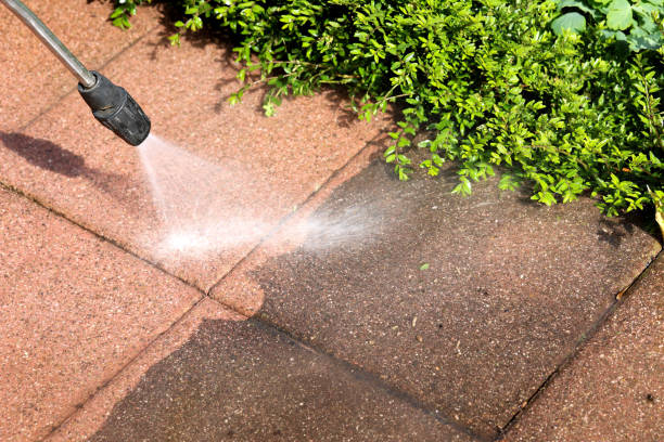 Best Roof Power Washing Services  in Mascotte, FL
