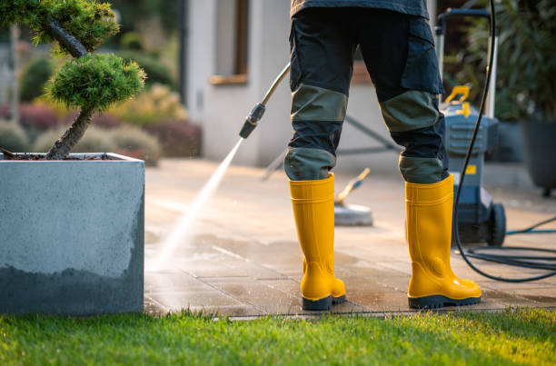 Best Best Pressure Washing Companies  in Mascotte, FL